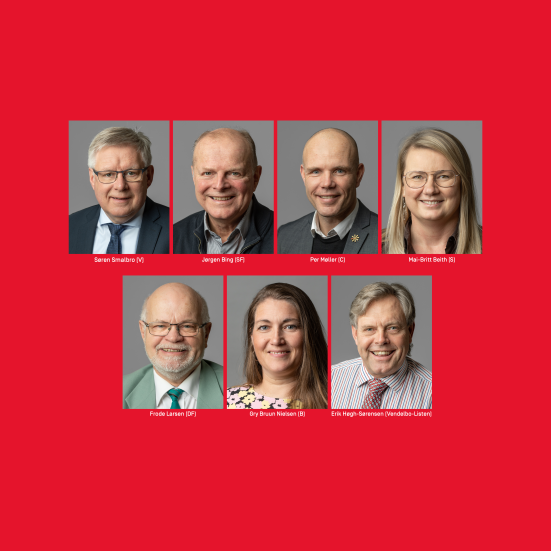 Søren Smalbro (V), Jørgen Bing (SF),  Per Møller (C), Mai-Britt Beith (S), Frode Larsen (DF), Gry Bruun Nielsen (B) og Erik Høgh-Sørensen (Vendelbo-Listen)